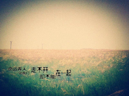 電視劇龍門飛甲經典臺詞《魯迅贊頌愛情的句子》