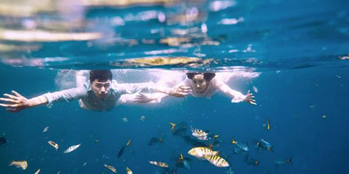 歌名表白情話英文《個(gè)人感覺很經(jīng)典的話》 