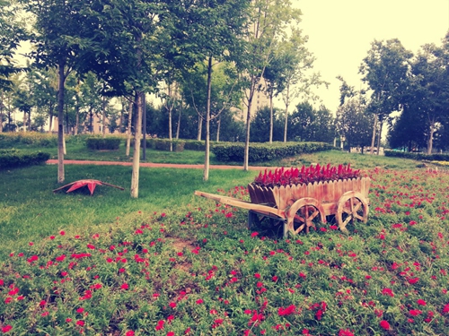  2023比喻正方形的告白情書（適合情侶互撩的情話）