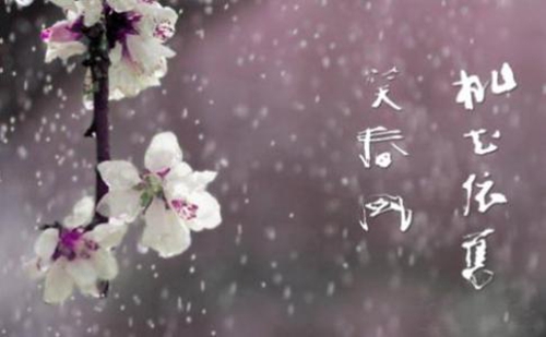 過年給領導發短信拜年牛年