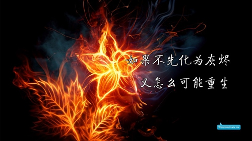 女生情話大全短句霸氣