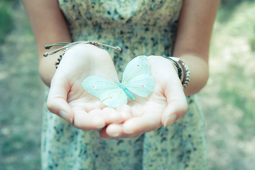 杉字女孩子取名90分以上