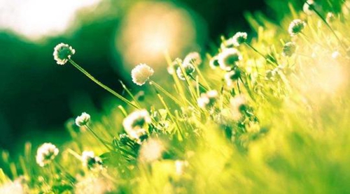 甜蜜愛情話大全