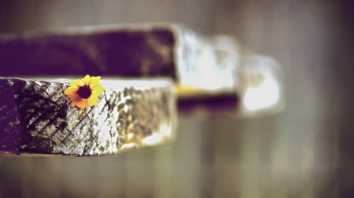 特別肉麻的情話短句