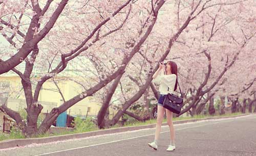 表白女生的話感人的話語