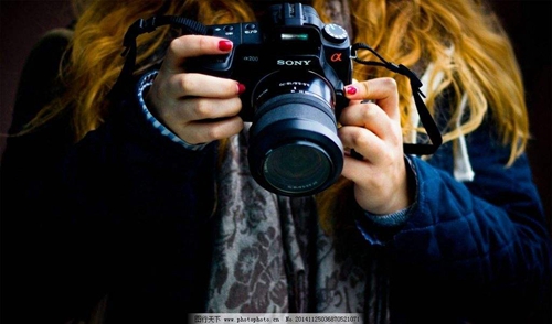 王思聰改頭像NMSL