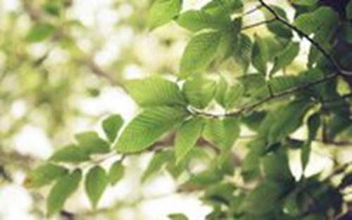 昭陽區(qū)拍照景點(diǎn)有哪些，昭陽區(qū)風(fēng)景區(qū)有哪些地方