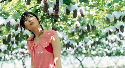 如何把仙人掌曬干保鮮儲存（仙人掌曬干保鮮儲存的方法）