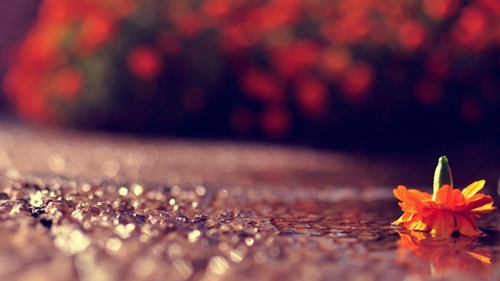 2022長沙岳麓書院最新開放時間