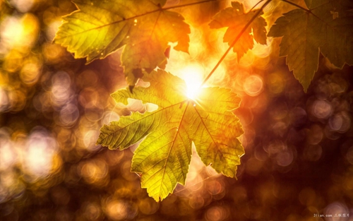 1654081965278587.png image.png