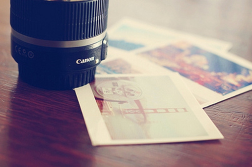 刺梅可以放臥室嗎（刺梅能不能放臥室養(yǎng)護呢）