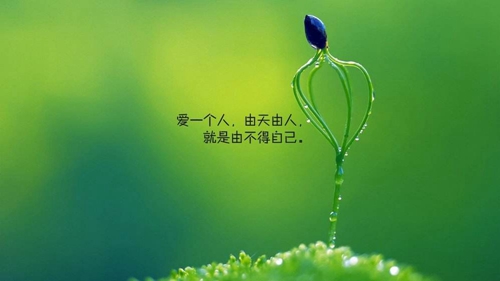 堅貞的說說（比喻堅貞的傷心說說）