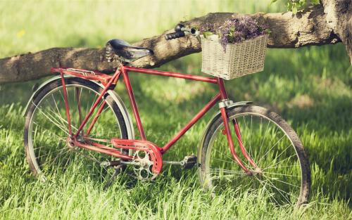 搞笑吃雞的情話