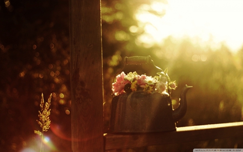 寫給冰塊男丶的情話