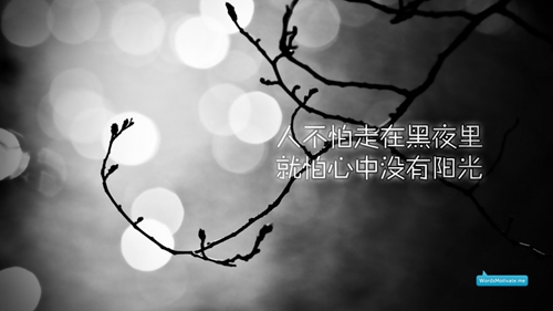 馬年寶寶取名字（孩子取名用什么字好馬年）