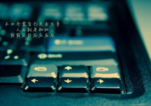 火影雛田的告白：她向佐助表達深情，誓言不離不棄