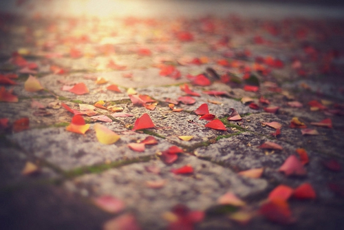 1到10數字表白情話成語