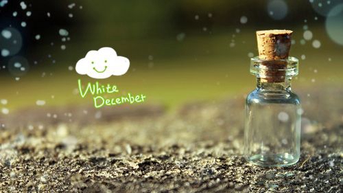 中秋節給女領導的祝福短信怎么寫