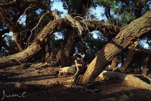 好聽的四人情侶網(wǎng)名