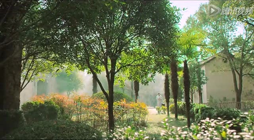 植樹節土味情話栽在你手里了（高中文言文表達情感）