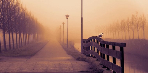 表白喜歡吃土豆的話