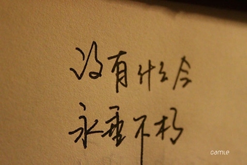 高傲姿態(tài)ヾ精選