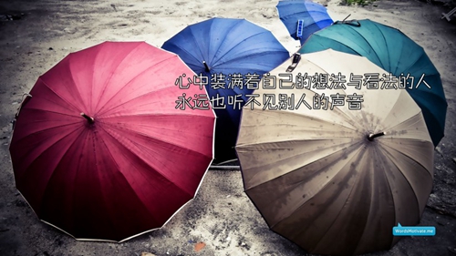 我養你的情話句子